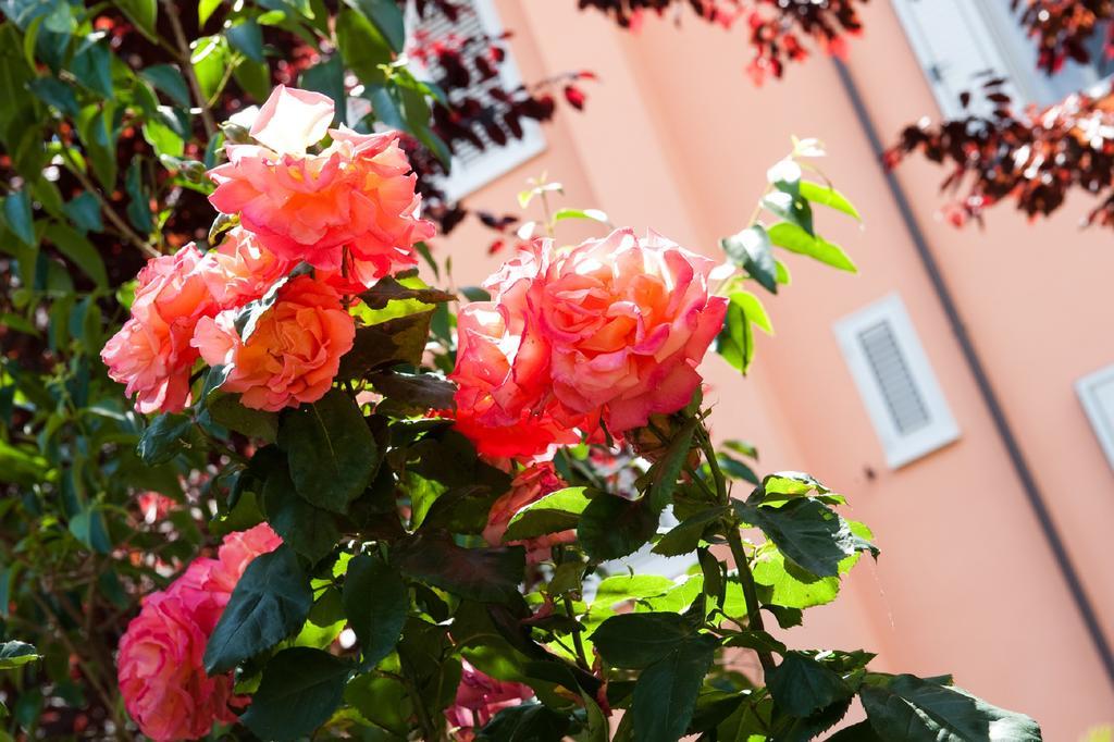 Hotel La Toscana Arezzo Bagian luar foto